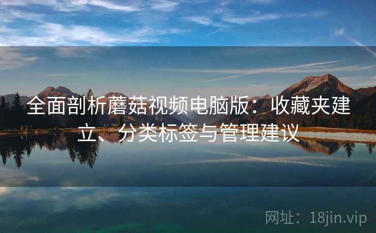 全面剖析蘑菇视频电脑版：收藏夹建立、分类标签与管理建议