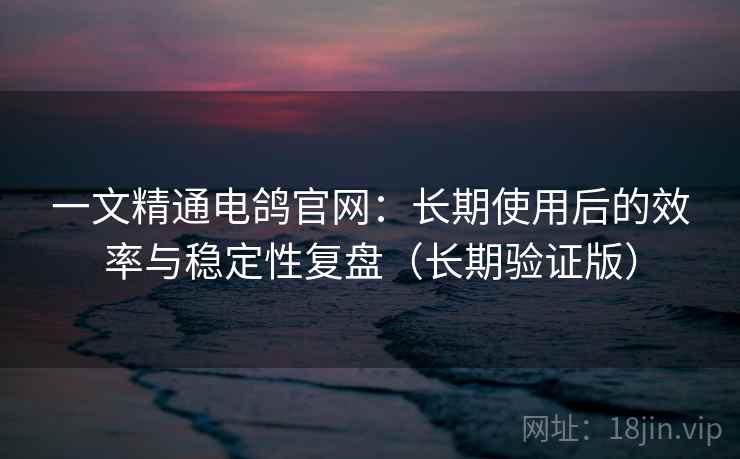 一文精通电鸽官网：长期使用后的效率与稳定性复盘（长期验证版）