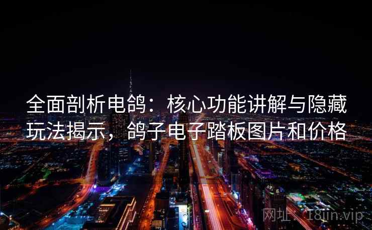 全面剖析电鸽：核心功能讲解与隐藏玩法揭示，鸽子电子踏板图片和价格