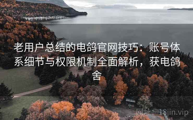 老用户总结的电鸽官网技巧：账号体系细节与权限机制全面解析，获电鸽舍