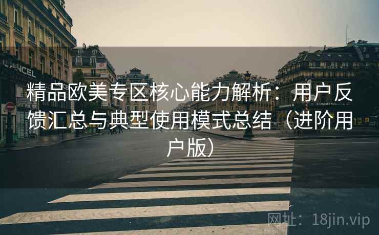 精品欧美专区核心能力解析：用户反馈汇总与典型使用模式总结（进阶用户版）
