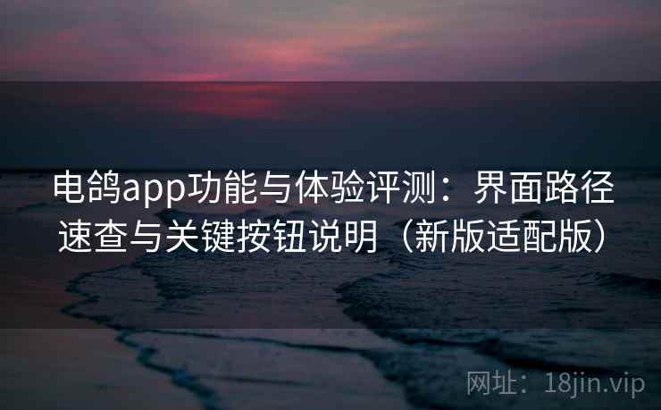 电鸽app功能与体验评测：界面路径速查与关键按钮说明（新版适配版）