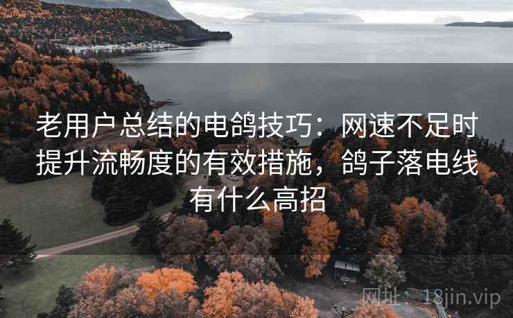 老用户总结的电鸽技巧：网速不足时提升流畅度的有效措施，鸽子落电线有什么高招