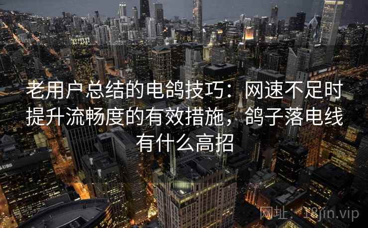 老用户总结的电鸽技巧：网速不足时提升流畅度的有效措施，鸽子落电线有什么高招