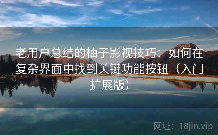 老用户总结的柚子影视技巧：如何在复杂界面中找到关键功能按钮（入门扩展版）