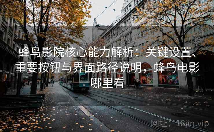 蜂鸟影院核心能力解析：关键设置、重要按钮与界面路径说明，蜂鸟电影哪里看