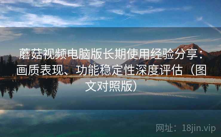 蘑菇视频电脑版长期使用经验分享：画质表现、功能稳定性深度评估（图文对照版）
