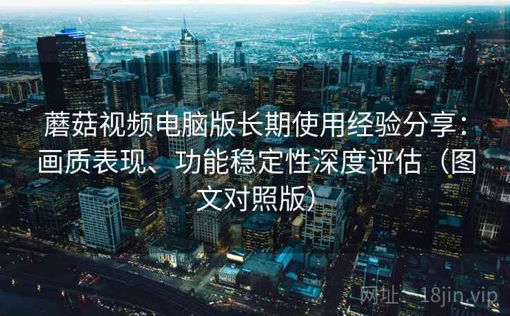 蘑菇视频电脑版长期使用经验分享：画质表现、功能稳定性深度评估（图文对照版）