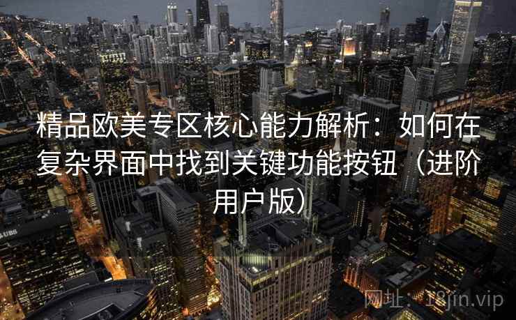 精品欧美专区核心能力解析：如何在复杂界面中找到关键功能按钮（进阶用户版）