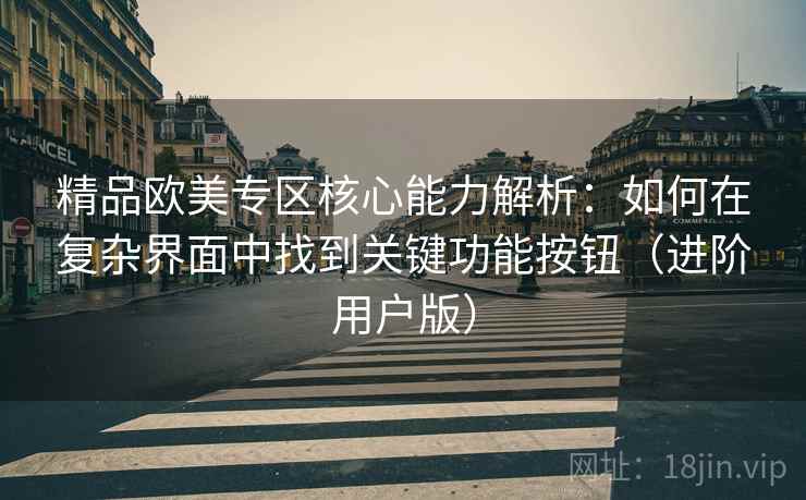 精品欧美专区核心能力解析：如何在复杂界面中找到关键功能按钮（进阶用户版）