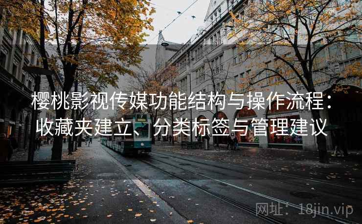 樱桃影视传媒功能结构与操作流程：收藏夹建立、分类标签与管理建议