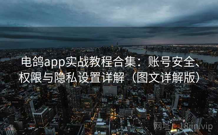 电鸽app实战教程合集：账号安全、权限与隐私设置详解（图文详解版）