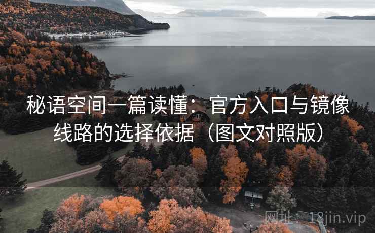 秘语空间一篇读懂：官方入口与镜像线路的选择依据（图文对照版）