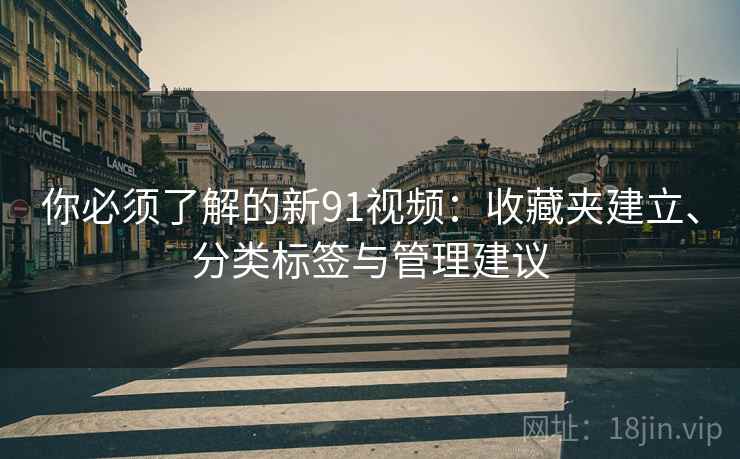 你必须了解的新91视频：收藏夹建立、分类标签与管理建议