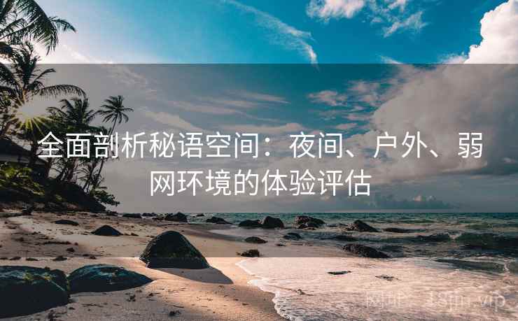全面剖析秘语空间：夜间、户外、弱网环境的体验评估