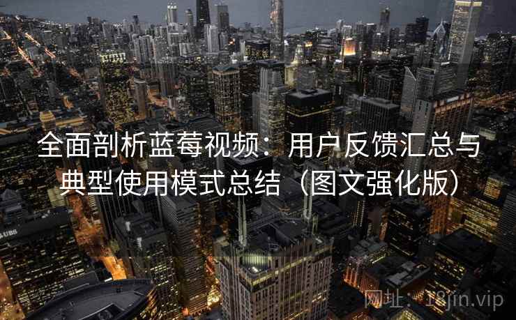 全面剖析蓝莓视频：用户反馈汇总与典型使用模式总结（图文强化版）
