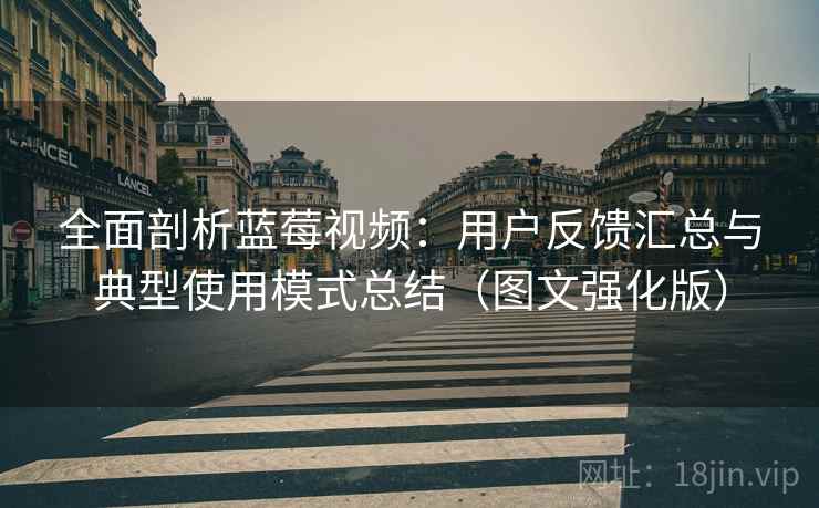 全面剖析蓝莓视频：用户反馈汇总与典型使用模式总结（图文强化版）