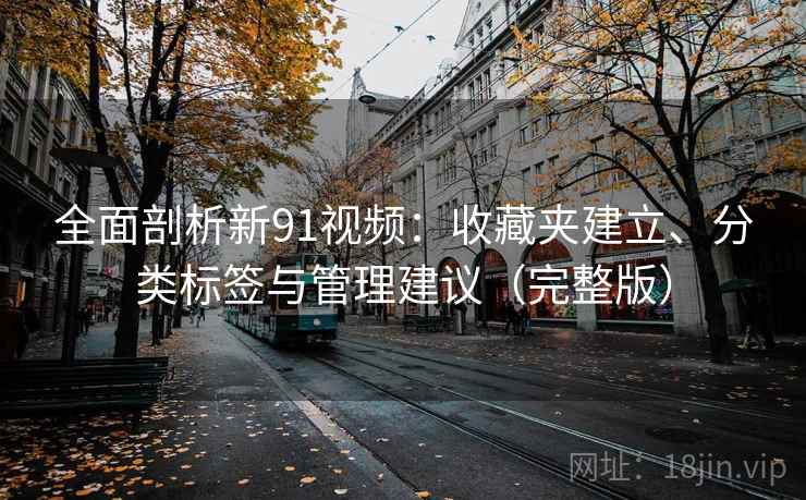 全面剖析新91视频：收藏夹建立、分类标签与管理建议（完整版）