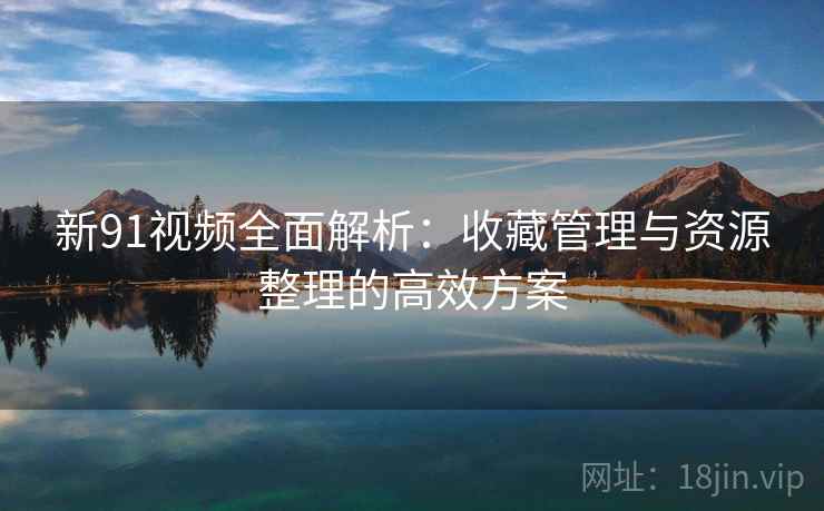 新91视频全面解析：收藏管理与资源整理的高效方案