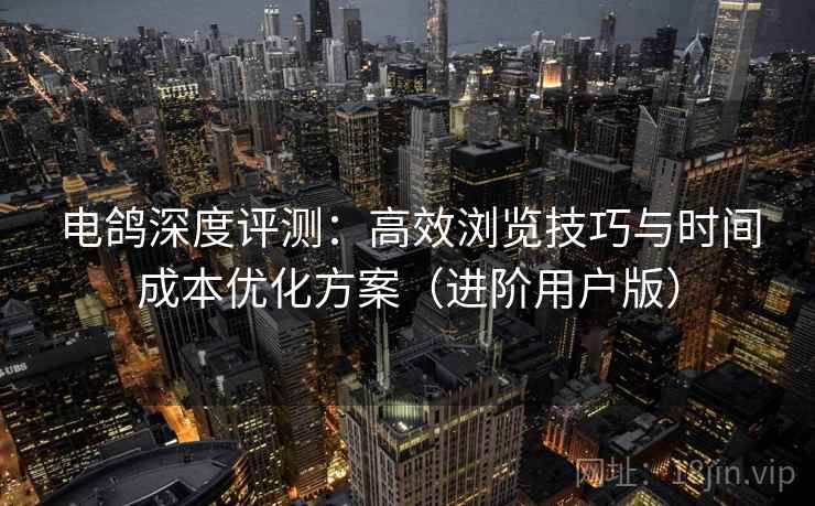 电鸽深度评测：高效浏览技巧与时间成本优化方案（进阶用户版）
