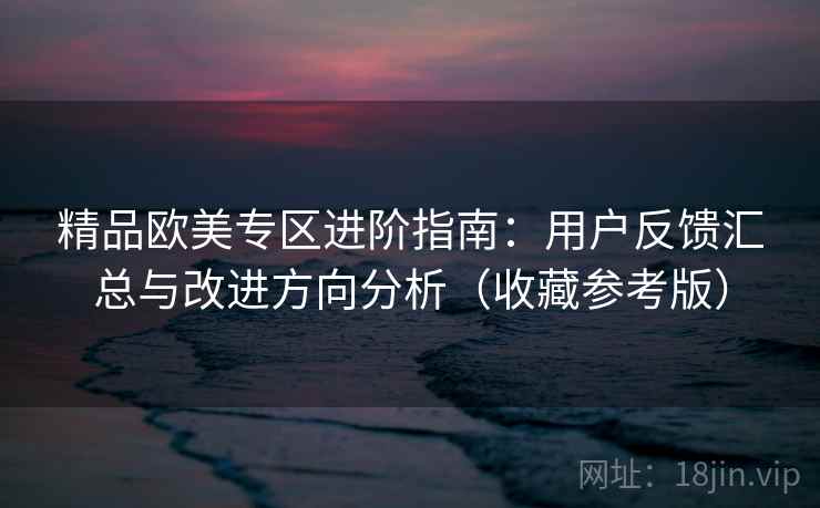 精品欧美专区进阶指南：用户反馈汇总与改进方向分析（收藏参考版）