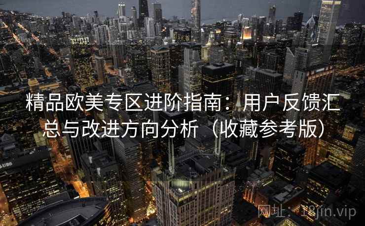 精品欧美专区进阶指南：用户反馈汇总与改进方向分析（收藏参考版）