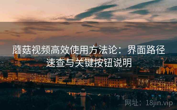 蘑菇视频高效使用方法论：界面路径速查与关键按钮说明