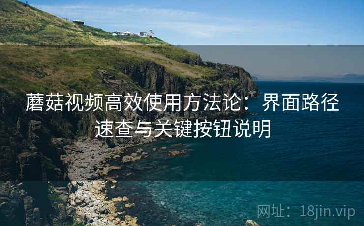 蘑菇视频高效使用方法论：界面路径速查与关键按钮说明
