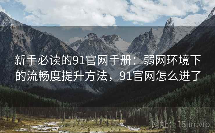 新手必读的91官网手册：弱网环境下的流畅度提升方法，91官网怎么进了