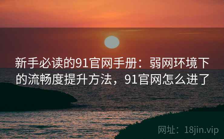 新手必读的91官网手册：弱网环境下的流畅度提升方法，91官网怎么进了