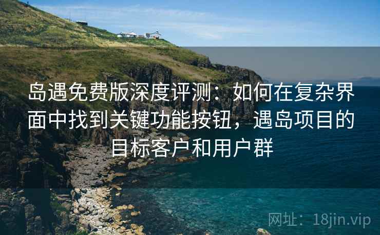 岛遇免费版深度评测：如何在复杂界面中找到关键功能按钮，遇岛项目的目标客户和用户群