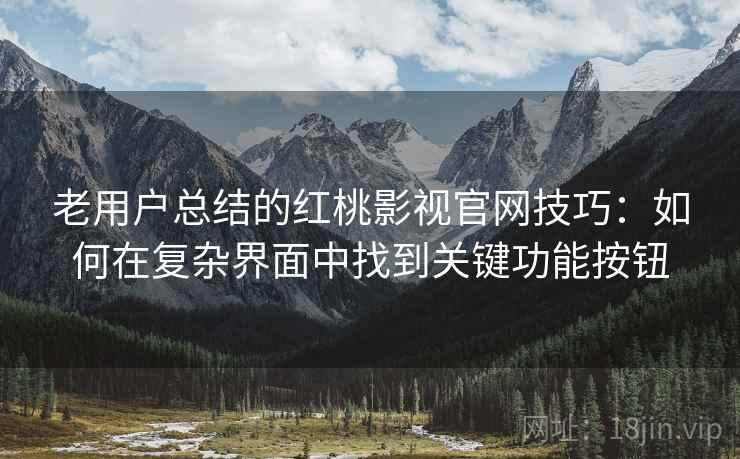 老用户总结的红桃影视官网技巧：如何在复杂界面中找到关键功能按钮
