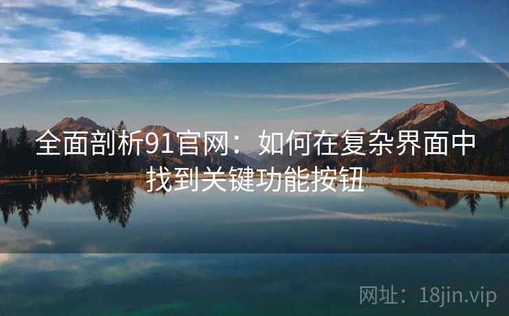 全面剖析91官网:如何在复杂界面中找到关键功能按钮 全面剖析91官网:如何在复杂界面中找到关键功能按钮