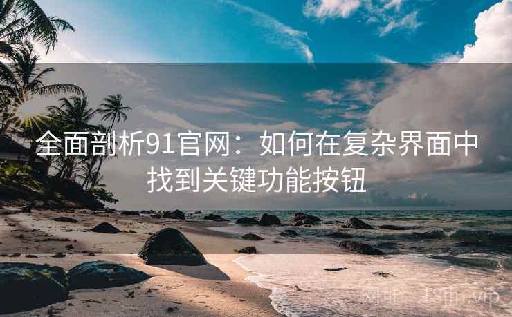全面剖析91官网:如何在复杂界面中找到关键功能按钮 全面剖析91官网:如何在复杂界面中找到关键功能按钮