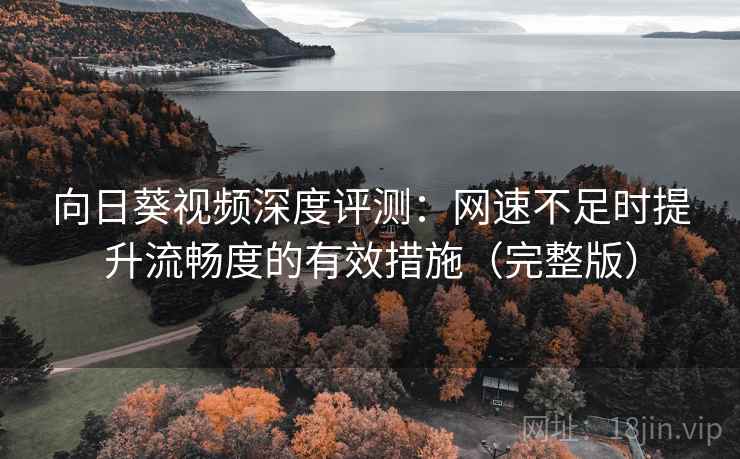 向日葵视频深度评测：网速不足时提升流畅度的有效措施（完整版）