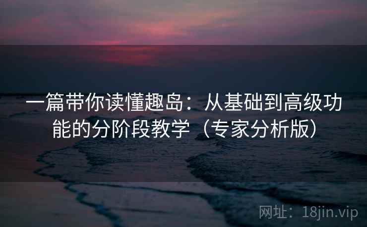 一篇带你读懂趣岛：从基础到高级功能的分阶段教学（专家分析版）