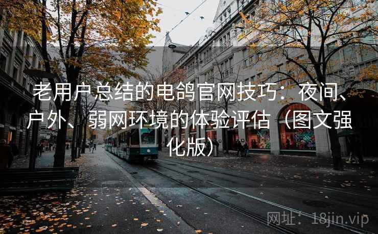 老用户总结的电鸽官网技巧:夜间、户外、弱网环境的体验评估(图文强化版) 老用户总结的电鸽官网技巧:夜间、户外、弱网环境的体验评估(图文强化版)