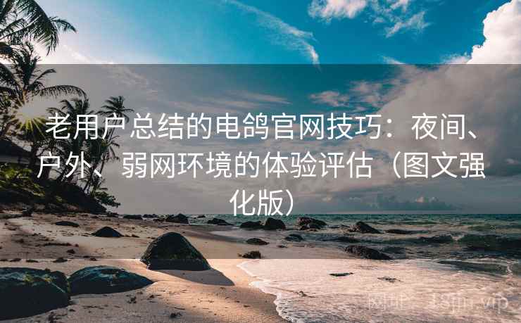 老用户总结的电鸽官网技巧:夜间、户外、弱网环境的体验评估(图文强化版) 老用户总结的电鸽官网技巧:夜间、户外、弱网环境的体验评估(图文强化版)