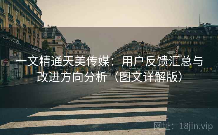一文精通天美传媒:用户反馈汇总与改进方向分析(图文详解版) 一文精通天美传媒:用户反馈汇总与改进方向分析(图文详解版)