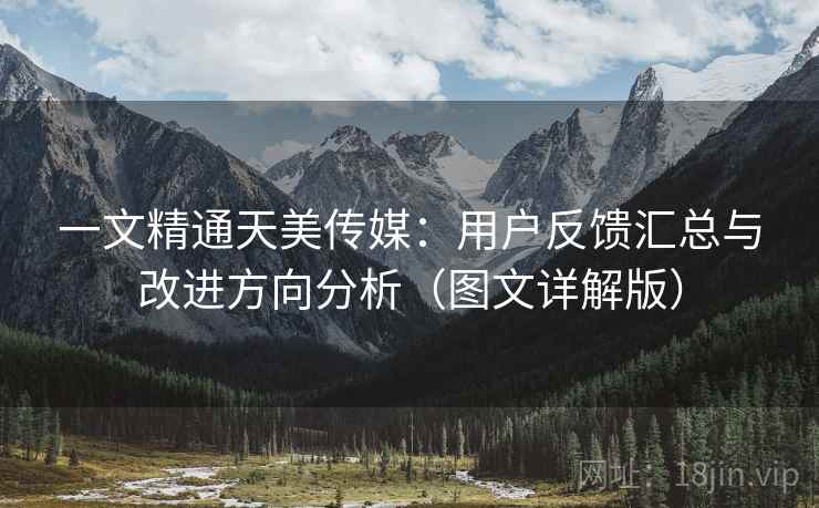 一文精通天美传媒:用户反馈汇总与改进方向分析(图文详解版) 一文精通天美传媒:用户反馈汇总与改进方向分析(图文详解版)